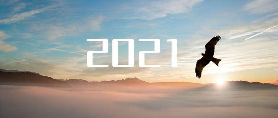 乘“峰”而上，智“盈”未来 ——2021年庄闲游戏环境高级资深副总裁新年开工动员